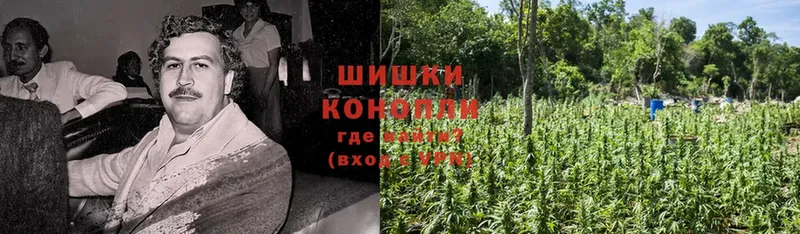 МЕГА ссылки  где продают наркотики  Электрогорск  Канабис OG Kush 